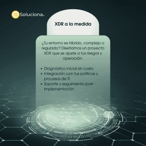 Implementación de Proyectos XDR