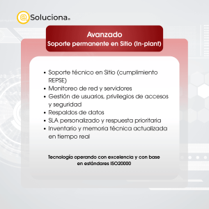 Soporte permanente en Sitio (In-plant)