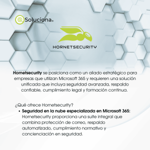 Hornetsecurity