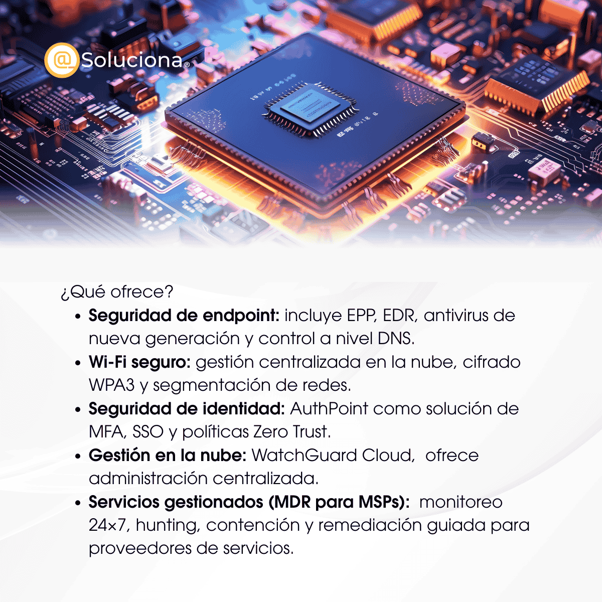 WatchGuard - Image 2